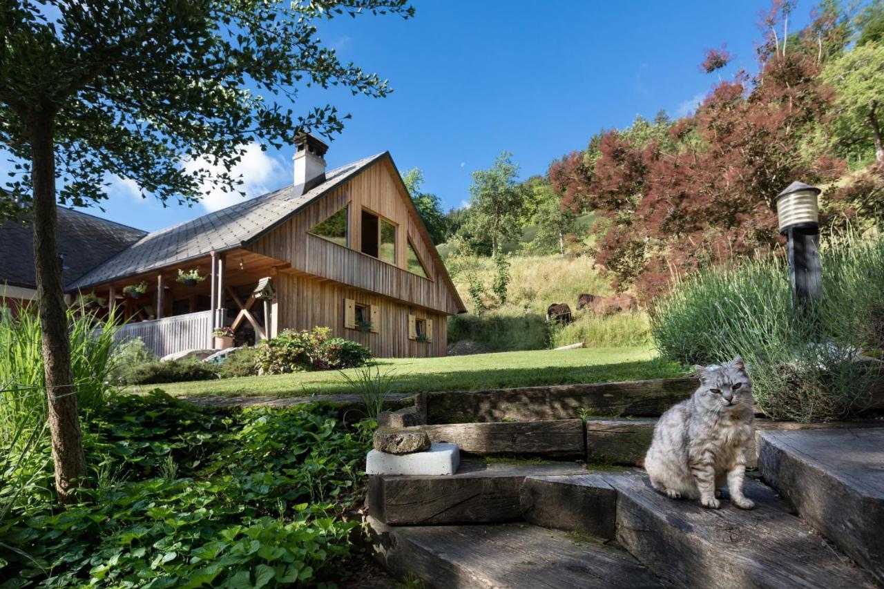 Homestead Farm Tesnak Gorenja Vas エクステリア 写真